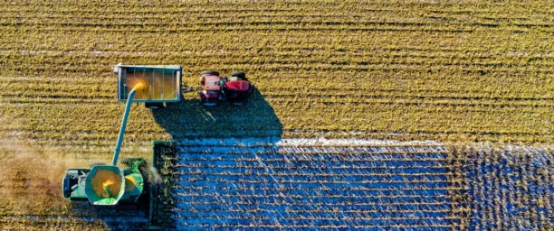 A Importância da Rotação de Culturas